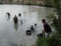 Abfischen 2006